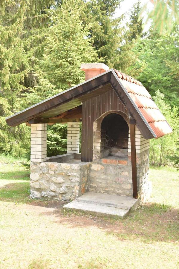 Vikendica Na Sokolini Βίλα Gornja Koprivna Εξωτερικό φωτογραφία